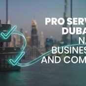 Best PRO Services Understanding Navigating the Complexities of Business