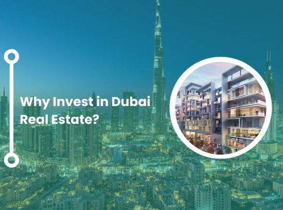 Why Invest in Dubai Real Estate? Why Invest in Dubai Real Estate?