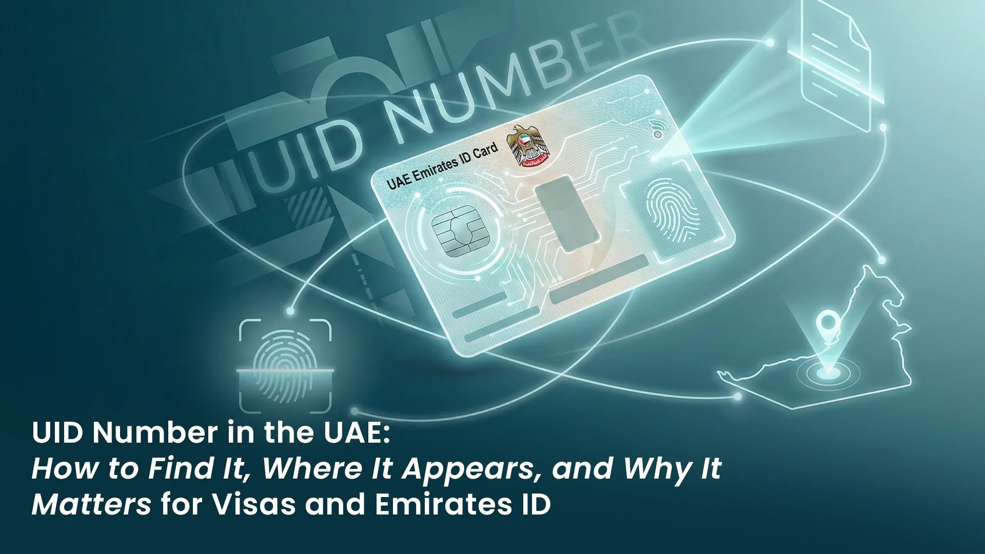 UID Number in the UAE: How to Find It, Where It Appears, and Why It Matters for Visas and Emirates ID